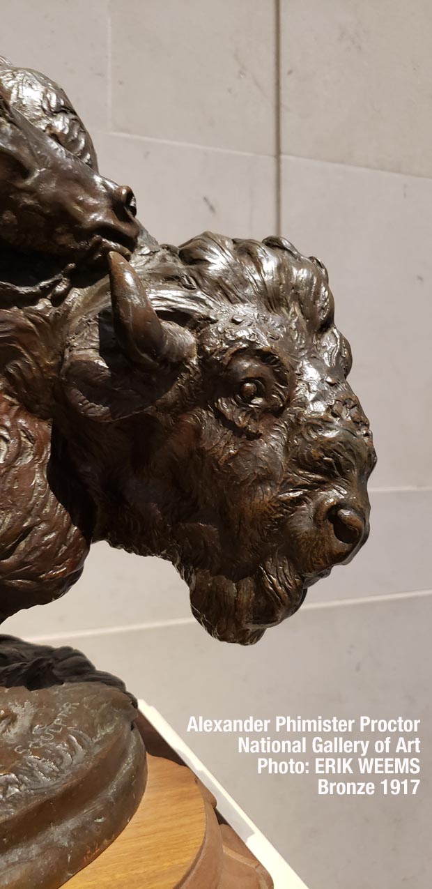 Buffalo Head detail closeup